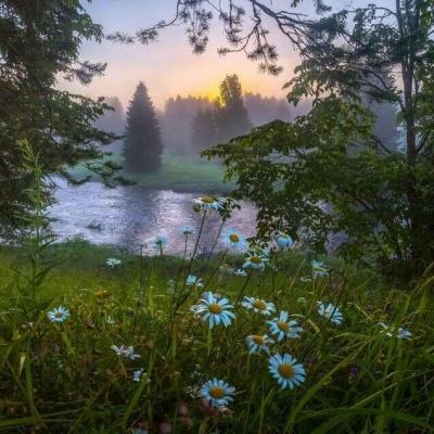 博雅.体育app手机版下载截图